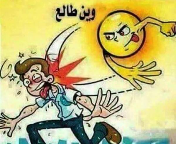 40 صورة مضحكة تسخر من موجة الحر وتضحك القلب