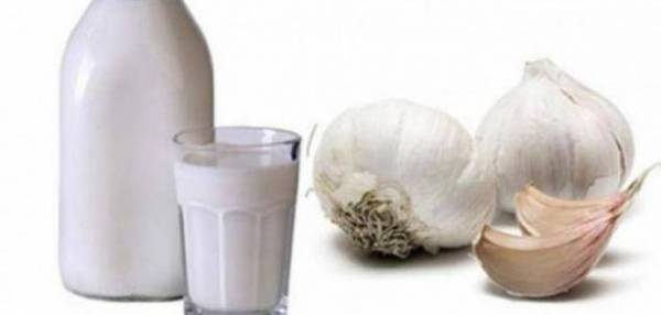 شاهد ماذا يفعل فص الثوم مع كوب من اللبن