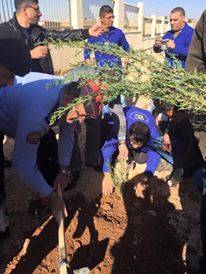 مستشفى الزرقاء الحكومي الجديد يحتفي بعيد الشجرة (صور)