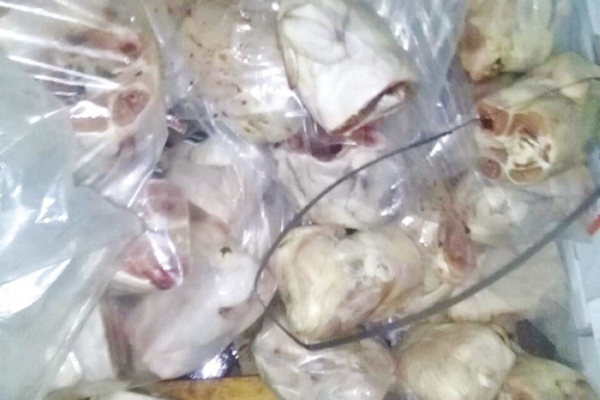 من هي الشركة التي تبيع لحوم وأسماك ملوثة ببراز القطط في عمان