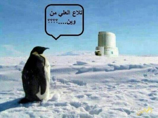 الاردنيون يسخرون من النشرات الجوية...صور