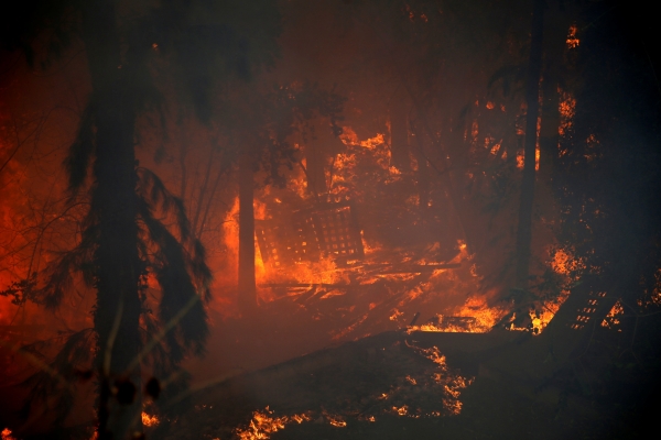 حريق 15 دونم اشجار حرجية بعنجرة