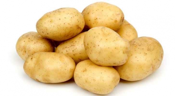 انخفاض اسعار البطاطا في اسواق الجملة