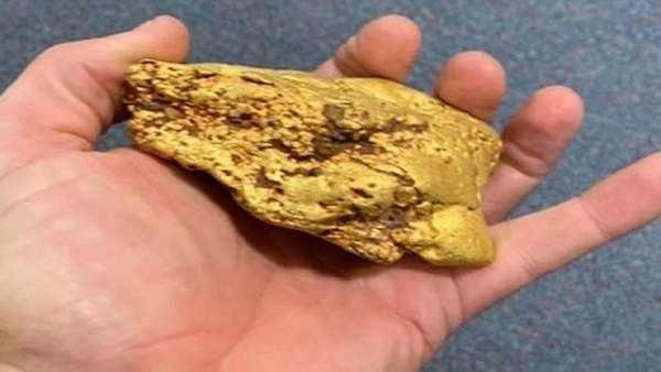 رجل يعثر على قطعة ذهب خالص وزنها 1.4 كيلوغرام