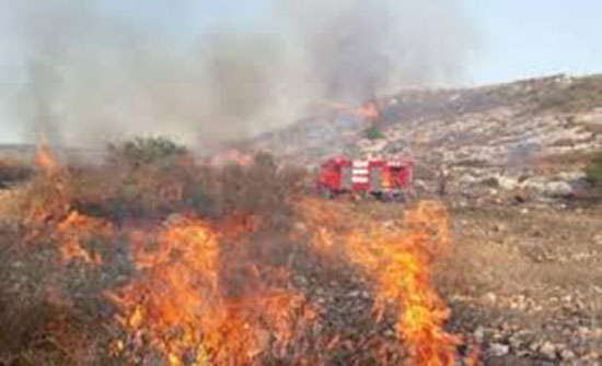 إخماد حريق أعشاب جافة وأشجار مثمرة في محافظة اربد
