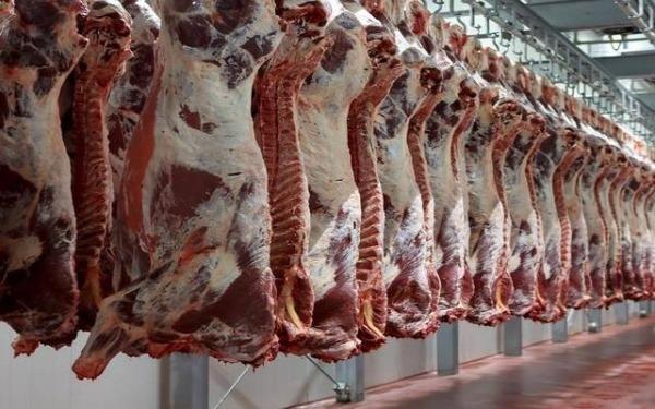 الزراعة: كميات اللحوم المحلية والمُستوردة بالأسواق كافية