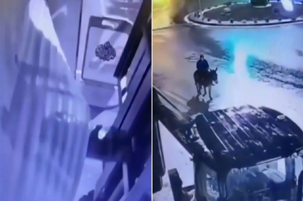 سطو (سينمائي) على محل مجوهرات باستخدام رافعة وحمار