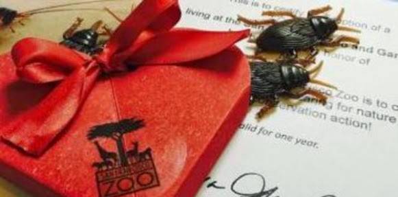 صرصور أو عقرب هدية لأصحاب القلوب المحطمة في عيد الحب