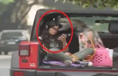 “قرد” يهاجم غادة عادل خلال تصوير فيلم “أهواك