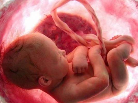 10 معلومات مذهلة عن الجنين في بطن أمه