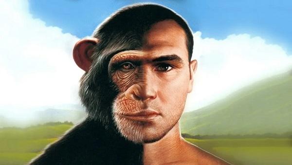 علماء يجرون أول عملية تهجين بين القرد والإنسان بنجاح