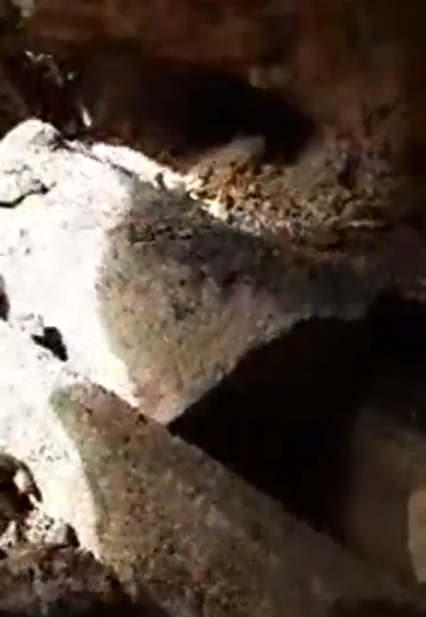 العثور على مقبر أثرية في اربد