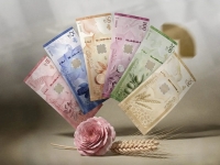 شرح رسمي لمعاني الرموز والعناصر البصرية في العملة السورية الجديدة