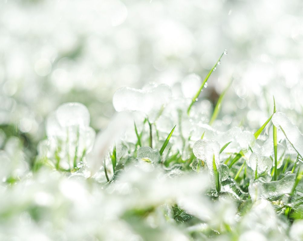 أجواء شديدة البرودة وتشكل الصقيع خلال ساعات الليل