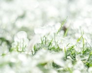 أجواء شديدة البرودة وتشكل الصقيع خلال ساعات الليل