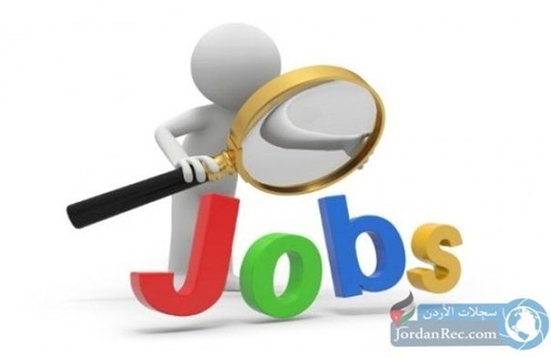 وظائف شاغرة في الحكومة  تفاصيل