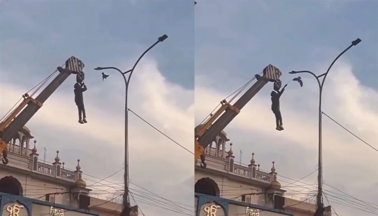 عامل يخاطر بحياته لإنقاذ طائر علق بين أسلاك الكهرباء.. فيديو