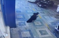 سعودية تكافأ بسيارة موديل 2026 بعد إنقاذها أطفالا من حادث خطير في جازان (فيديوهات)